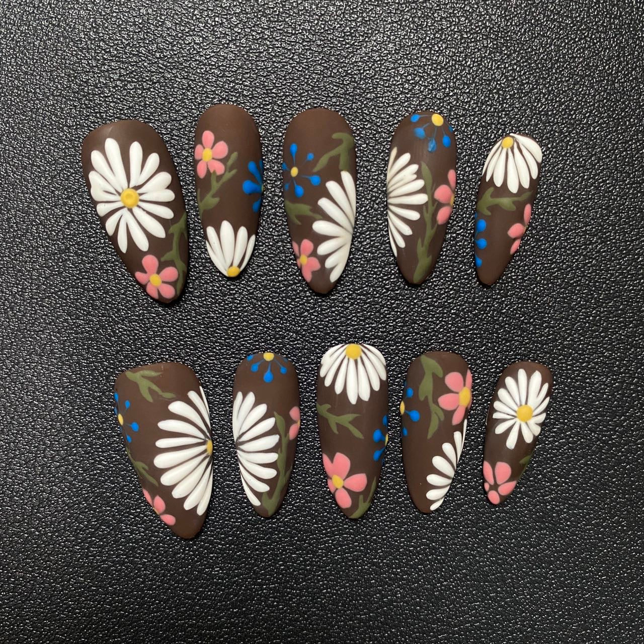 Cocoa Daisy