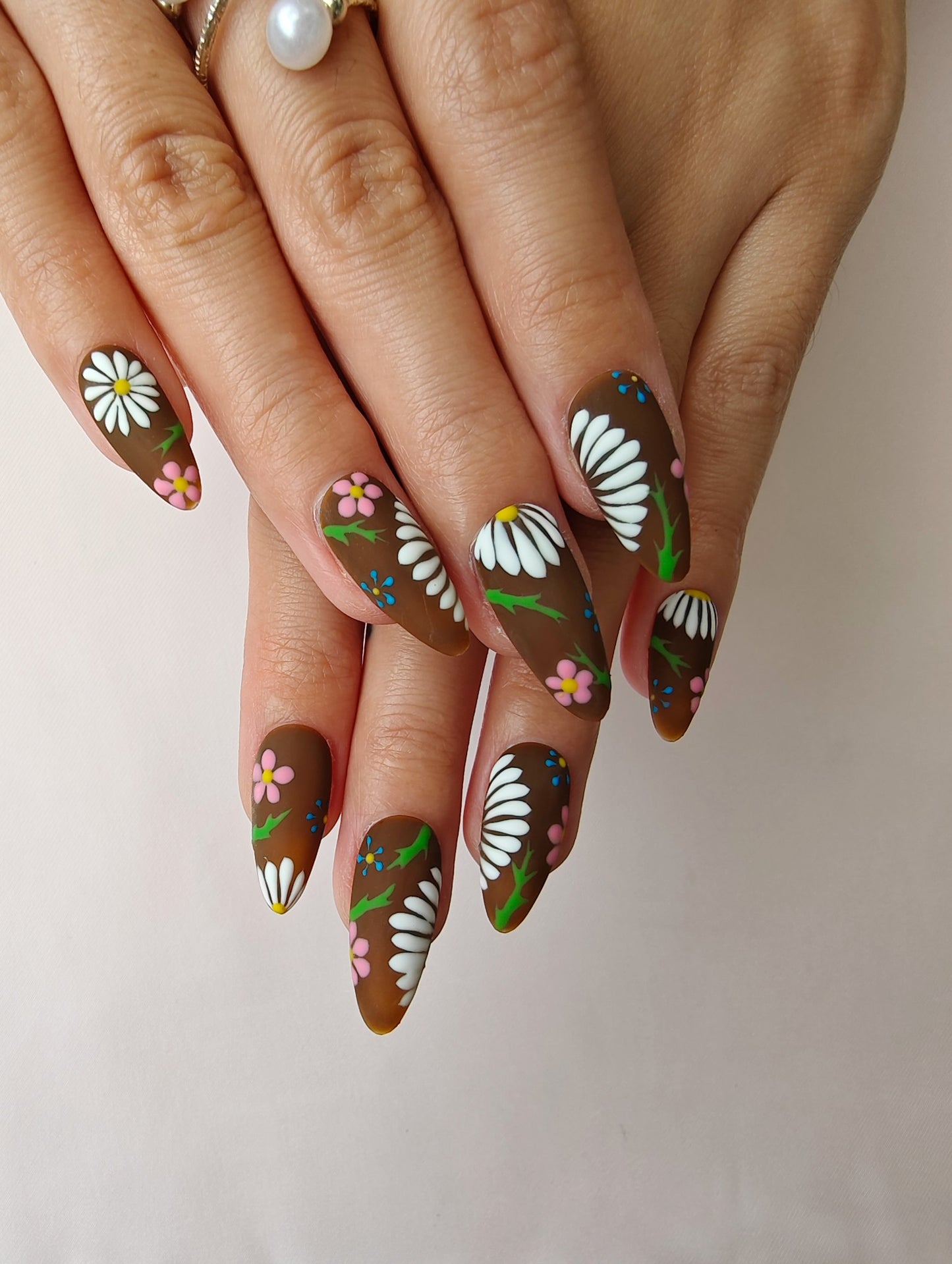 Cocoa Daisy