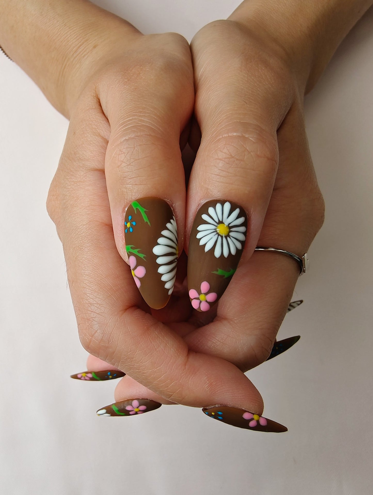 Cocoa Daisy